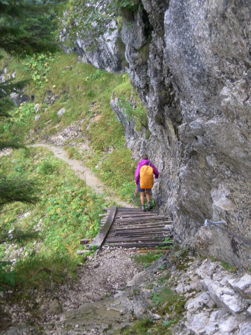 Foto: Wolfgang Lauschensky / Wandertour / Gippel über Gippelmauer und Treibsteig / einfacher Pfad in der Gippelmauer - Nordwand / 09.09.2014 22:58:58