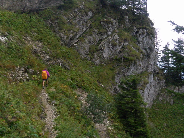 Foto: Wolfgang Lauschensky / Wandertour / Gippel über Gippelmauer und Treibsteig / Treibsteig / 09.09.2014 22:58:45
