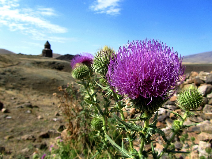 Foto: Andreas Koller / Wandertour / Kulturwanderung in den Ruinen von Ani (1378m) / 17.09.2014 01:42:50