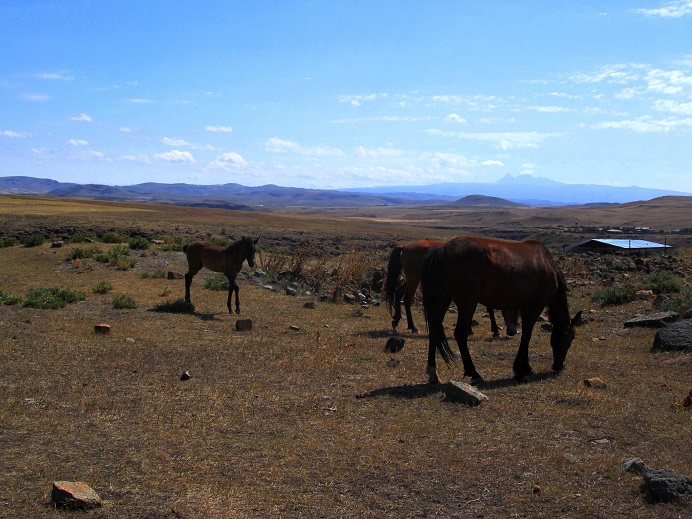 Foto: Andreas Koller / Wandertour / Kulturwanderung in den Ruinen von Ani (1378m) / 17.09.2014 01:39:53