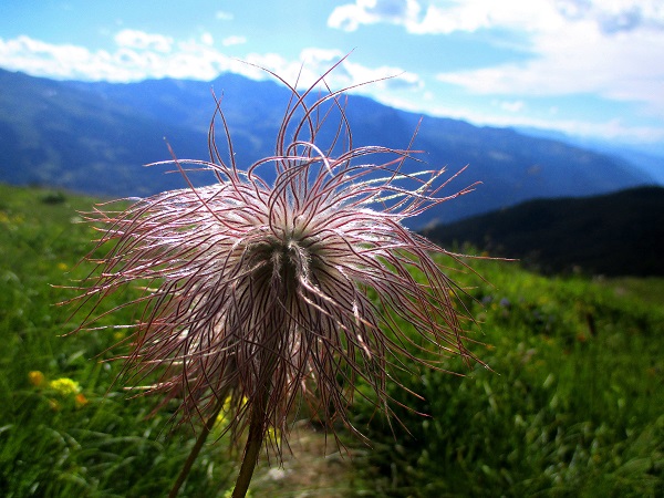 Foto: Andreas Koller / Klettersteigtour / Senda ferrada Piz Mitgel (3159m) / 18.09.2014 01:17:39
