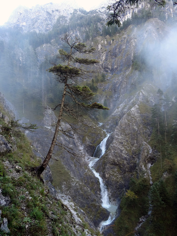 Foto: Datzi / Wandertour / Rundtour über das Weittal zum Hochwart (Biwak) - Abstieg über die Hochalm und Stadurzrinne (Antengraben) / Die Schlucht beim Anstieg aus den Antengraben / 29.09.2014 20:09:36