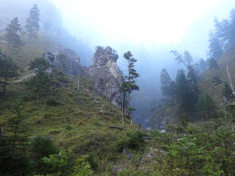 Foto: Datzi / Wandertour / Rundtour über das Weittal zum Hochwart (Biwak) - Abstieg über die Hochalm und Stadurzrinne (Antengraben) / Der Grashang der angestiegen wird / 01.10.2014 20:58:54