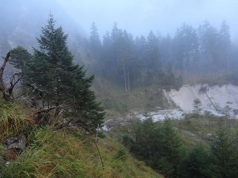 Foto: Datzi / Wandertour / Rundtour über das Weittal zum Hochwart (Biwak) - Abstieg über die Hochalm und Stadurzrinne (Antengraben) / Der verwachsene Einstieg in den Grashang / 01.10.2014 20:59:03