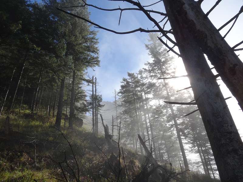 Foto: Datzi / Wandertour / Rundtour über das Weittal zum Hochwart (Biwak) - Abstieg über die Hochalm und Stadurzrinne (Antengraben) / 01.10.2014 21:02:56