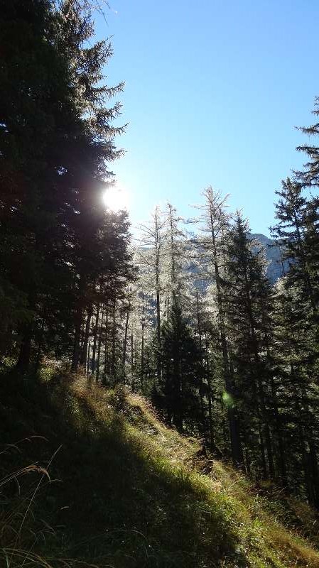Foto: Datzi / Wandertour / Rundtour über das Weittal zum Hochwart (Biwak) - Abstieg über die Hochalm und Stadurzrinne (Antengraben) / 01.10.2014 21:03:36