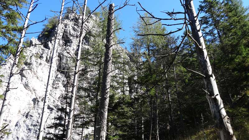 Foto: Datzi / Wandertour / Rundtour über das Weittal zum Hochwart (Biwak) - Abstieg über die Hochalm und Stadurzrinne (Antengraben) / Die südliche Felsabstürze vom Mieskogel / 01.10.2014 21:04:01