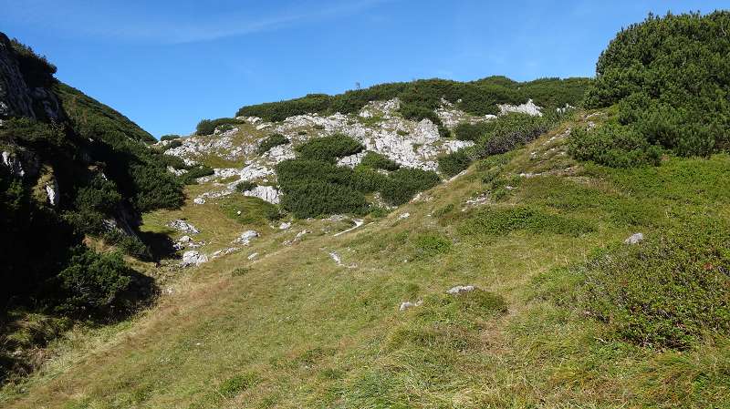 Foto: Datzi / Wandertour / Rundtour über das Weittal zum Hochwart (Biwak) - Abstieg über die Hochalm und Stadurzrinne (Antengraben) / Die Wegkreuzung mit Weg zum Hohen Polster / 01.10.2014 21:09:51