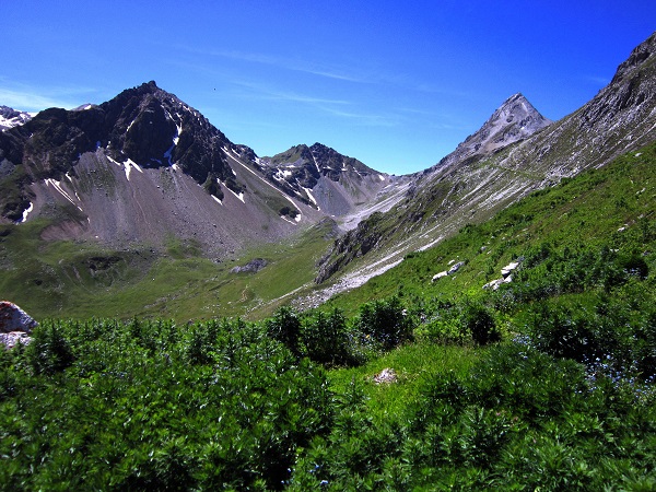 Foto: Andreas Koller / Wandertour / Wanderung am Tschirpengrat (2511m) / 30.09.2014 22:31:02