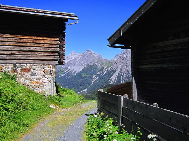 Foto: Andreas Koller / Wandertour / Wanderung am Tschirpengrat (2511m) / 30.09.2014 22:25:06