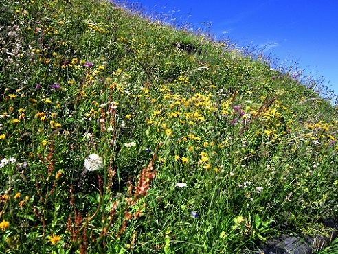 Foto: Andreas Koller / Wandertour / Wanderung am Tschirpengrat (2511m) / 30.09.2014 22:24:57
