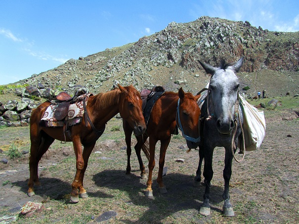 Foto: Andreas Koller / Wandertour / Ararat (5137m) / 23.10.2014 02:19:02