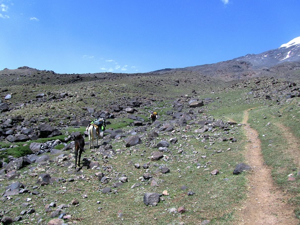 Foto: Andreas Koller / Wandertour / Ararat (5137m) / 23.10.2014 02:16:18
