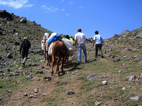 Foto: Andreas Koller / Wandertour / Ararat (5137m) / 23.10.2014 02:16:01