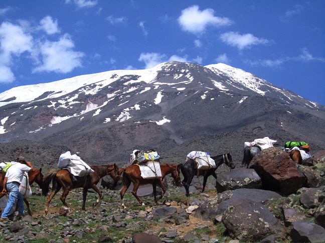 Foto: Andreas Koller / Wandertour / Ararat (5137m) / 23.10.2014 02:15:51