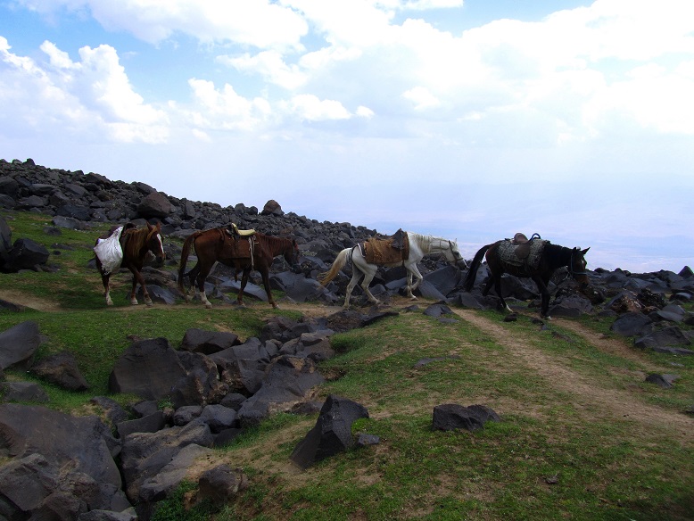 Foto: Andreas Koller / Wandertour / Ararat (5137m) / 23.10.2014 02:09:53