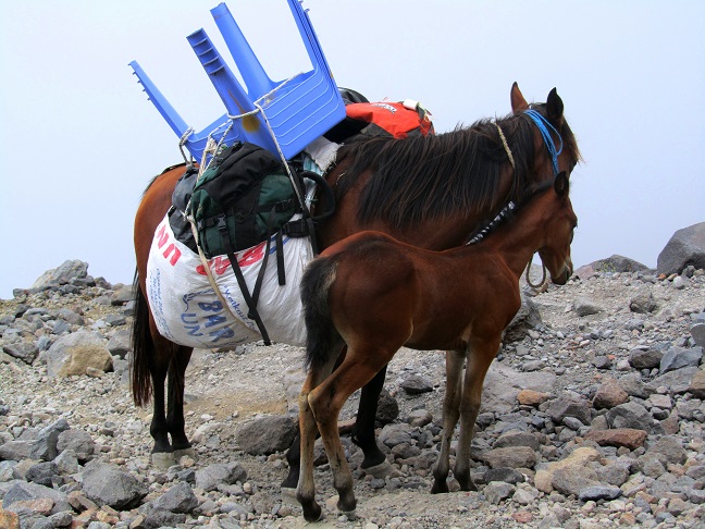 Foto: Andreas Koller / Wandertour / Ararat (5137m) / 23.10.2014 02:08:18