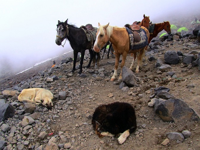 Foto: Andreas Koller / Wandertour / Ararat (5137m) / 23.10.2014 02:07:12