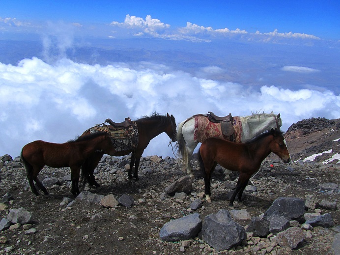 Foto: Andreas Koller / Wandertour / Ararat (5137m) / 23.10.2014 01:53:04
