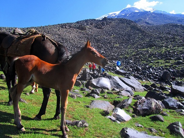 Foto: Andreas Koller / Wandertour / Ararat (5137m) / Abschied vom Base Camp / 23.10.2014 01:51:59