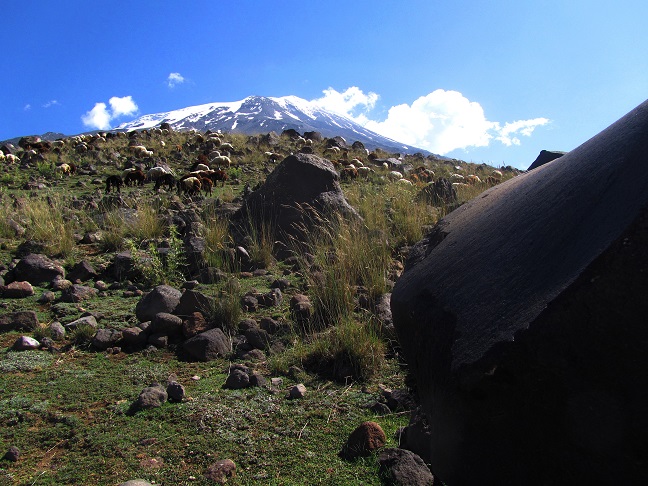 Foto: Andreas Koller / Wandertour / Ararat (5137m) / 23.10.2014 01:50:15