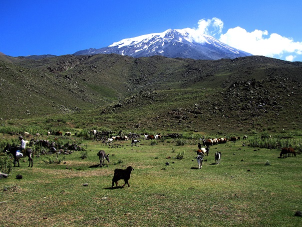 Foto: Andreas Koller / Wandertour / Ararat (5137m) / 23.10.2014 01:49:24