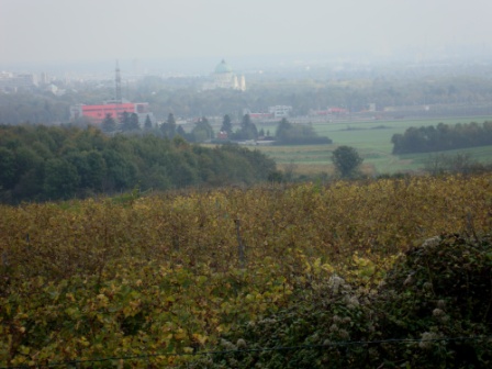 Foto: Wolfgang Dröthandl / Wandertour / Wiener Bezirks - Kulturwanderweg 10: Favoriten / Blick auf die Luegerkirche im Zentralfriedhof (1110) von der Filmteichstraße / 30.10.2014 23:08:52