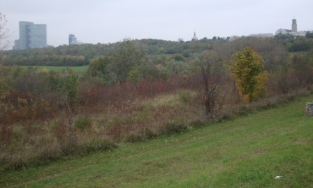Foto: Wolfgang Dröthandl / Wandertour / Wiener Bezirks - Kulturwanderweg 10: Favoriten / Blick vom Erholungsgebiet Wienerberg nach Norden auf Twin Tower, Wasserturm und Karmelkirche (Stefan Fadinger - Platz) / 30.10.2014 23:02:39