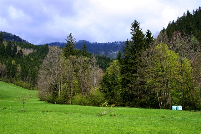 Foto: Andreas Koller / Wandertour / Gippel und Gippelmauer von Süden (1669m) / Preintal - Preinecksattel - Gippelmauer - Schwarzauer Gippel - Gippel - Gippelalm - Gscheidlhöhe - Preital / 24.11.2014 01:36:54