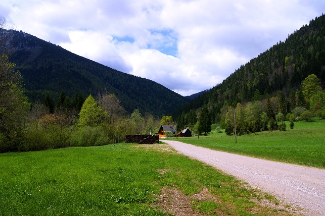 Foto: Andreas Koller / Wandertour / Gippel und Gippelmauer von Süden (1669m) / 24.11.2014 01:36:03