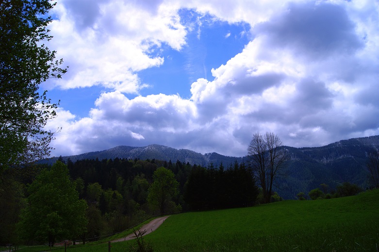 Foto: Andreas Koller / Wandertour / Gippel und Gippelmauer von Süden (1669m) / 24.11.2014 01:35:40