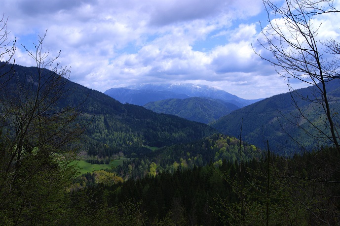 Foto: Andreas Koller / Wandertour / Gippel und Gippelmauer von Süden (1669m) / 24.11.2014 01:35:21