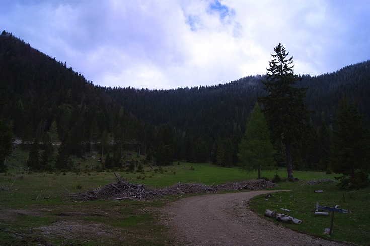 Foto: Andreas Koller / Wandertour / Gippel und Gippelmauer von Süden (1669m) / 24.11.2014 01:35:14