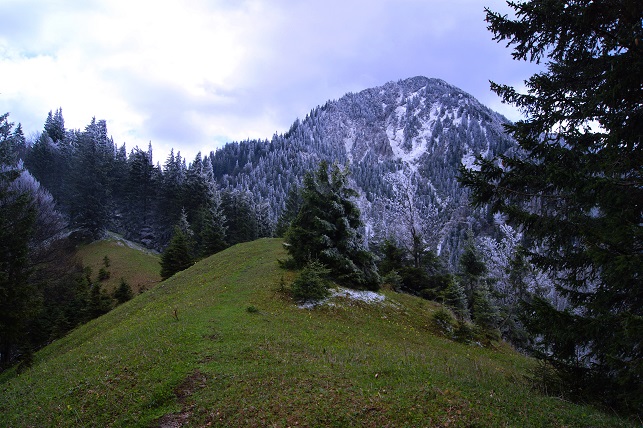 Foto: Andreas Koller / Wandertour / Gippel und Gippelmauer von Süden (1669m) / 24.11.2014 01:34:05