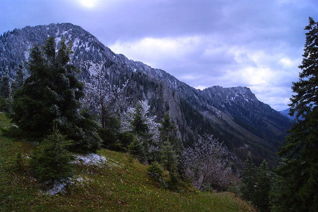 Foto: Andreas Koller / Wandertour / Gippel und Gippelmauer von Süden (1669m) / Anstieg zur Gippelmauer / 24.11.2014 01:33:48