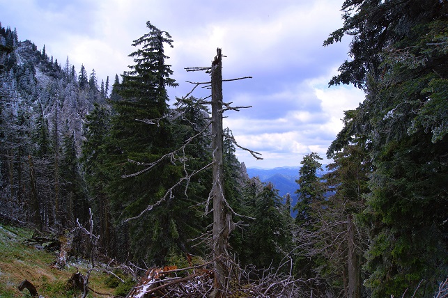 Foto: Andreas Koller / Wandertour / Gippel und Gippelmauer von Süden (1669m) / 24.11.2014 01:33:16