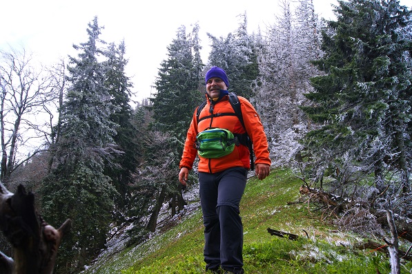 Foto: Andreas Koller / Wandertour / Gippel und Gippelmauer von Süden (1669m) / 24.11.2014 01:33:09