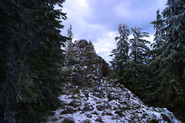 Foto: Andreas Koller / Wandertour / Gippel und Gippelmauer von Süden (1669m) / Gippelmauer / 24.11.2014 01:32:37