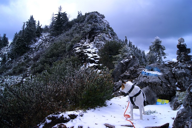 Foto: Andreas Koller / Wandertour / Gippel und Gippelmauer von Süden (1669m) / 24.11.2014 01:31:53