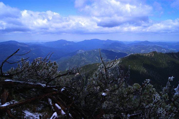 Foto: Andreas Koller / Wandertour / Gippel und Gippelmauer von Süden (1669m) / 24.11.2014 01:31:45