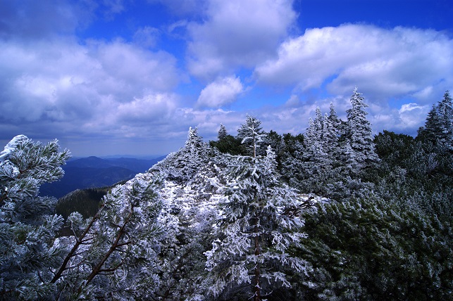 Foto: Andreas Koller / Wandertour / Gippel und Gippelmauer von Süden (1669m) / 24.11.2014 01:31:37