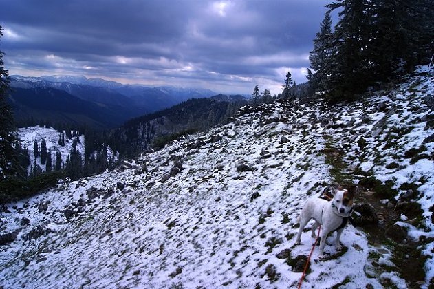 Foto: Andreas Koller / Wandertour / Gippel und Gippelmauer von Süden (1669m) / 24.11.2014 01:30:50