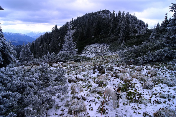 Foto: Andreas Koller / Wandertour / Gippel und Gippelmauer von Süden (1669m) / 24.11.2014 01:30:42