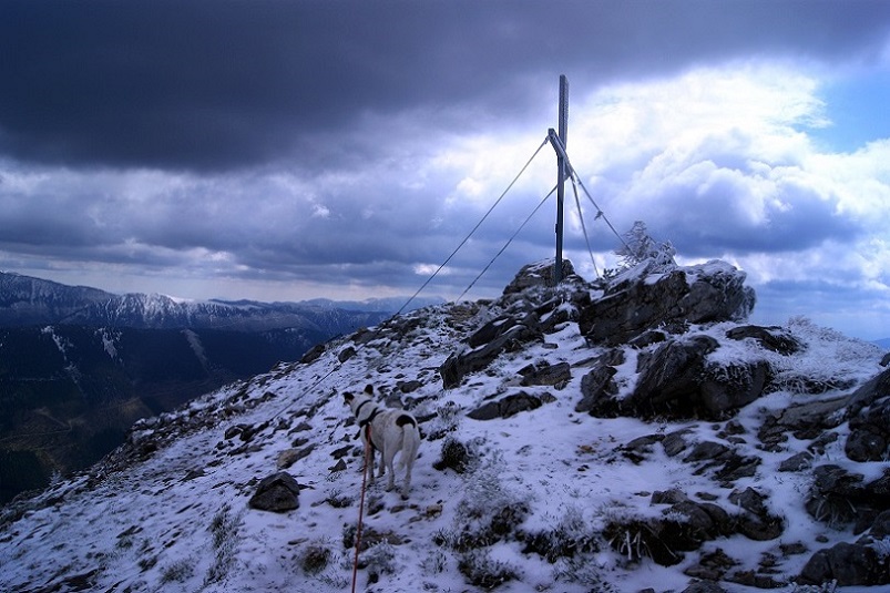 Foto: Andreas Koller / Wandertour / Gippel und Gippelmauer von Süden (1669m) / Am Gippel / 24.11.2014 01:30:07