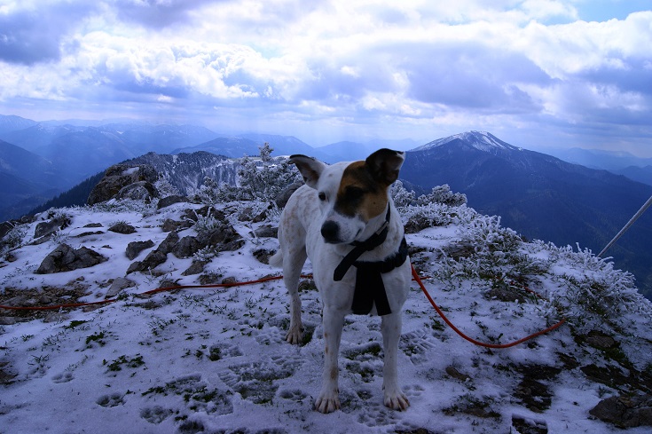Foto: Andreas Koller / Wandertour / Gippel und Gippelmauer von Süden (1669m) / 24.11.2014 01:29:41