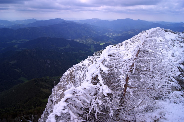 Foto: Andreas Koller / Wandertour / Gippel und Gippelmauer von Süden (1669m) / 24.11.2014 01:27:58