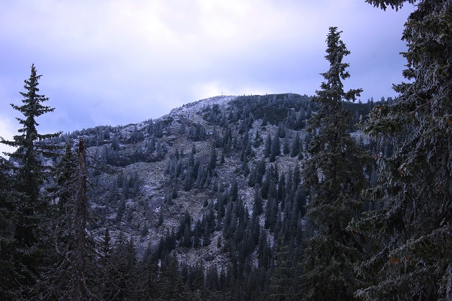 Foto: Andreas Koller / Wandertour / Gippel und Gippelmauer von Süden (1669m) / Gippel / 24.11.2014 01:27:17