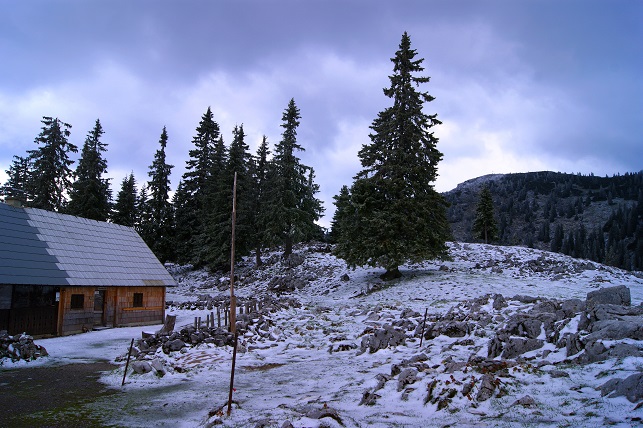 Foto: Andreas Koller / Wandertour / Gippel und Gippelmauer von Süden (1669m) / 24.11.2014 01:26:49