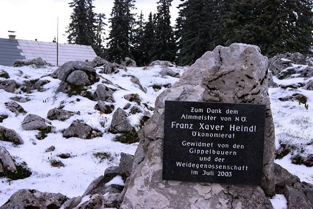 Foto: Andreas Koller / Wandertour / Gippel und Gippelmauer von Süden (1669m) / 24.11.2014 01:26:41