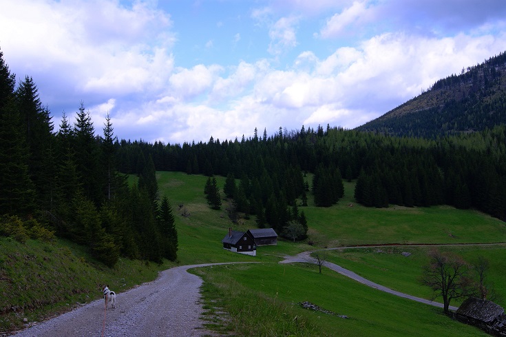 Foto: Andreas Koller / Wandertour / Gippel und Gippelmauer von Süden (1669m) / Jagdhaus unter der Gscheidlhöhe / 24.11.2014 01:26:32